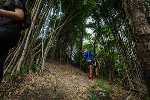 BIB: 
                            <button type="button" onclick="openModal(19395848)" class="btn btn-primary btn-sm float-right btn-popup" data-toggle="modal" data-target=".modal-high-quality">
                        <i class="fas fa-shopping-cart"></i> Add to Cart
                    </button>
                                            <button type="button" onclick="isThisMe(19395848, true)" class="btn btn-success btn-sm float-right btn-popup btn-isme hidden" data-toggle="tooltip" data-placement="bottom" title="นี่คือรูปของคุณใช่ไหม คลิกที่นี่เพื่อเอาเข้าอัลบั้ม">
                        <i class="fas fa-plus"></i> Add to album
                    </button>
                    <button type="button" onclick="isThisMe(19395848, false)" class="btn btn-warning btn-sm float-right btn-popup btn-isnotme hidden">
                        <i class="fas fa-ban"></i> Remove from album
                    </button>